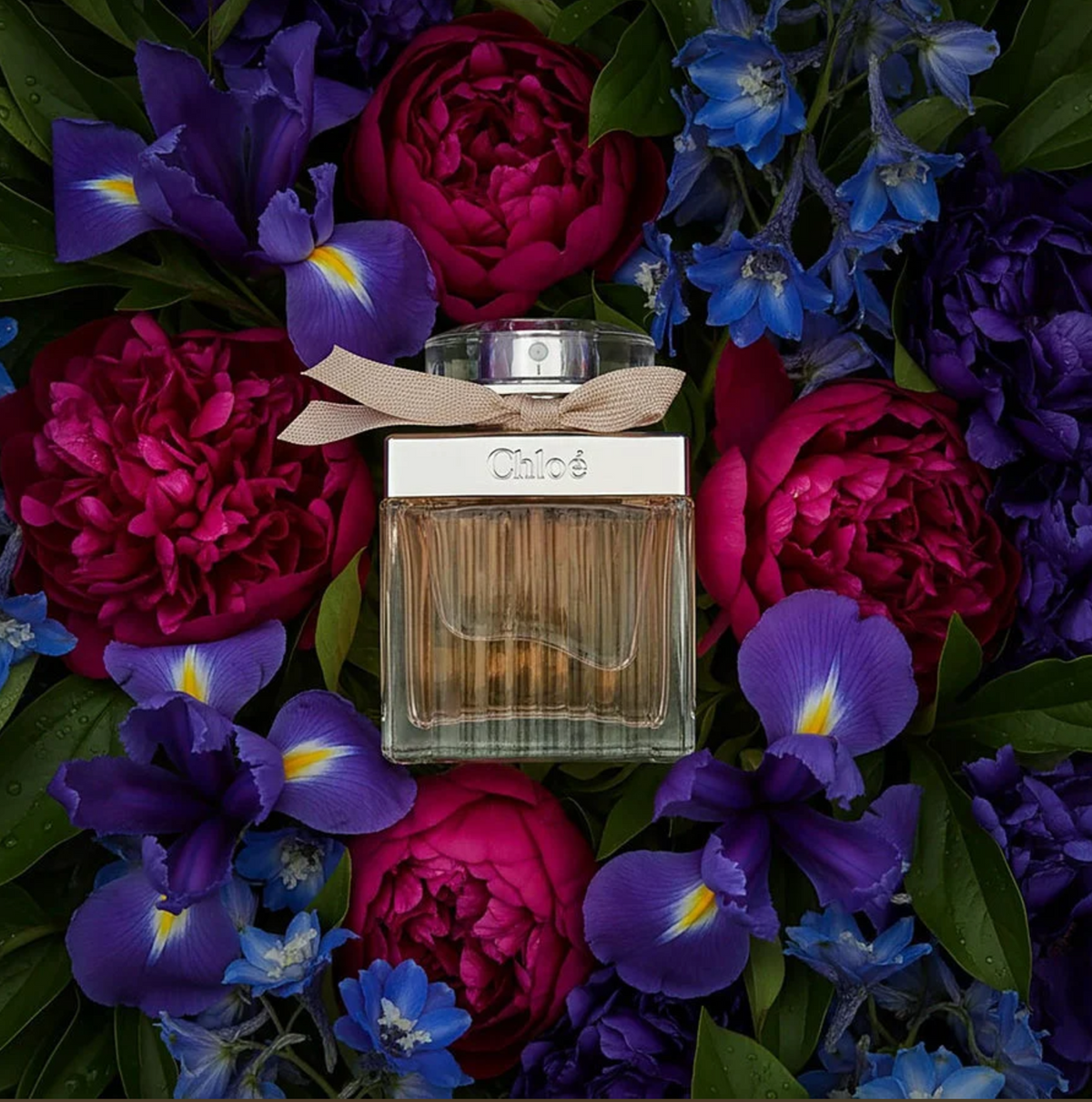 Chloe Eau de Parfum Eau De Parfum Spray 2.5 oz