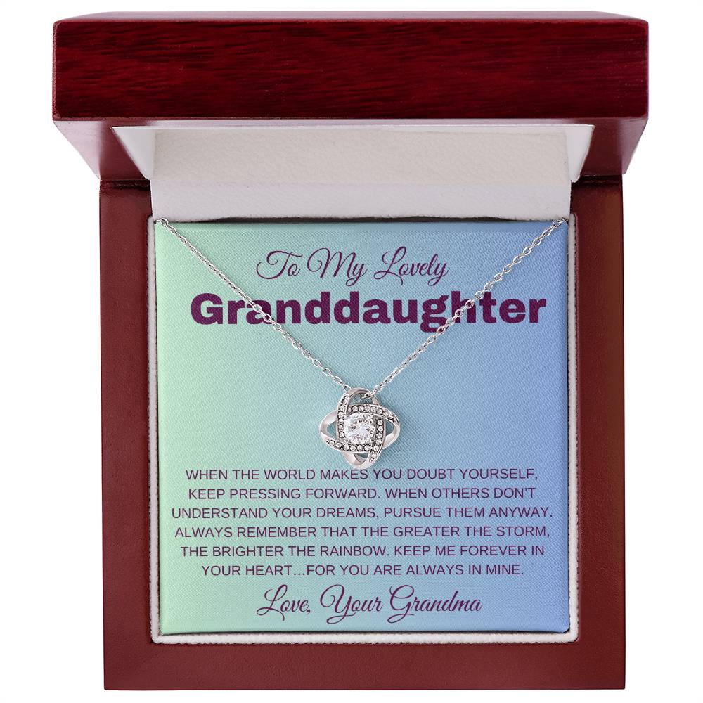 To My Lovely Granddaughter - When Others Don't Understand Your Dreams