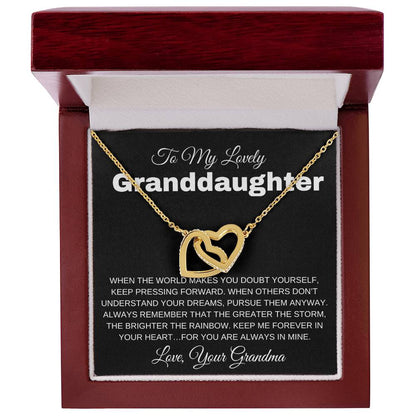To My Lovely Granddaughter - When Others Don't Understand Your Dream 2